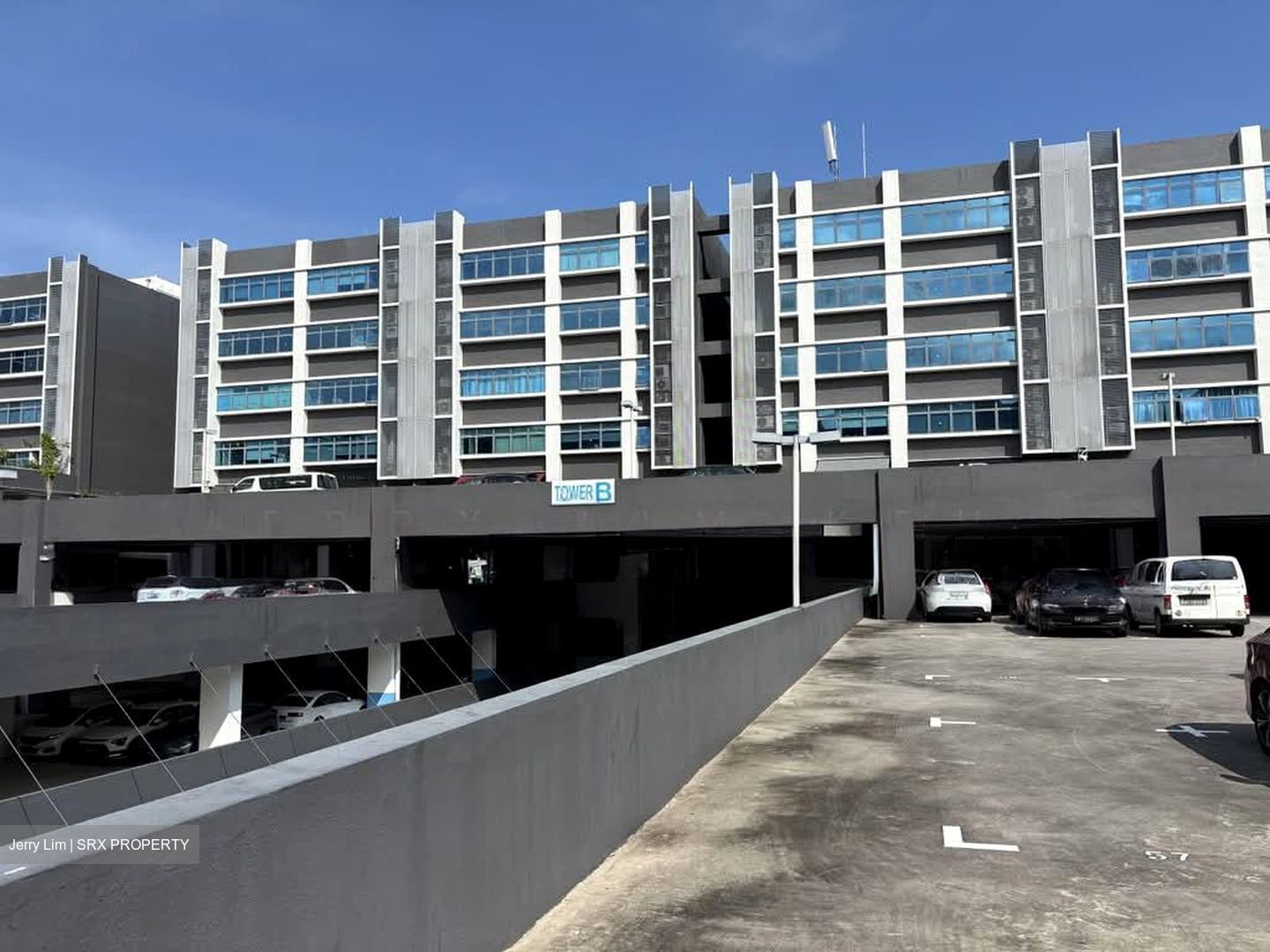 Vertex (D14), Factory #564728931